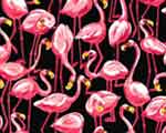 Flamingo Symphony  Fabric- black