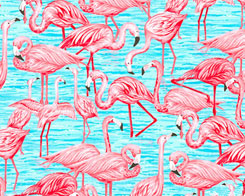 Flock of Flamingos - Coral
